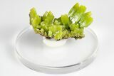 Apple-Green Pyromorphite Crystal Cluster - China #179724-1